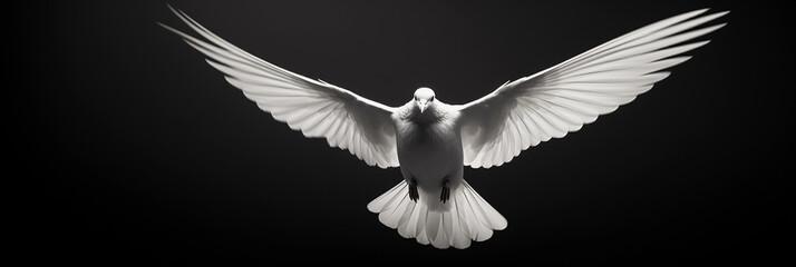 a single dove in flight, captured in black and white, negative space, sharp contrast