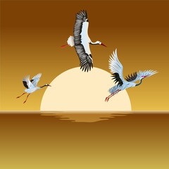 vector stork bird, heron with background sunset