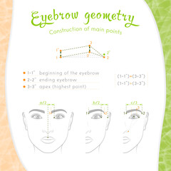 The geometry of the eyebrows is basic