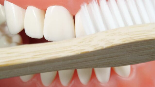Patient at a Dentist Appointment in a Dental Clinic. Inside View of Brushing Teeth Tutorial with White Green Toothbrush. Cleaning Mouth Morning Healthcare Routine. Dental Care Education