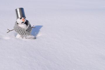 Snowman with carrot nose