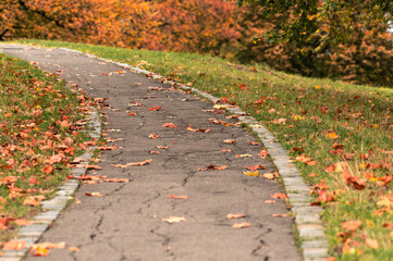 Weg im Park mit Herbstlaub