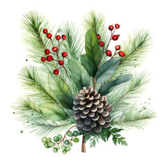 Gentle watercolor pinecone red berry and evergreen tree twig on white backdrop. Winter holiday celebration