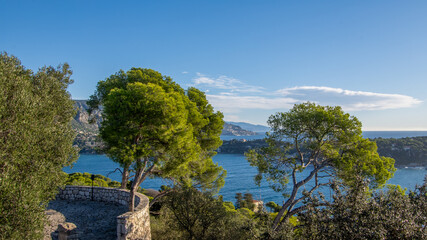 Paysage boisé en bord de mer sur la Côte d'Azur