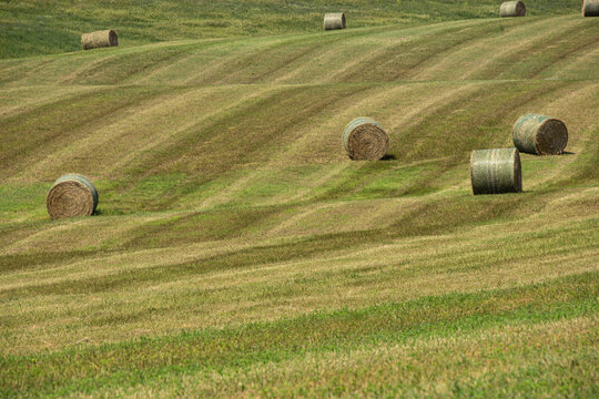 Rolling hills and hay bales scattered throughout an open mowed field in South Dakota