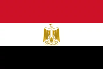 Foto op Plexiglas egypt flag  © Nikolaus