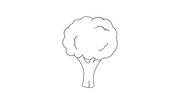 Broccoli Icon Sketch Animation