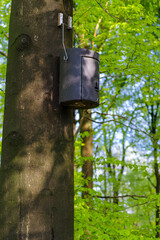 nest box for bats