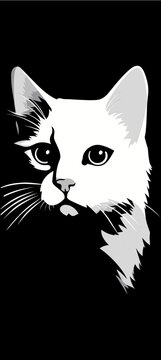 white svg vector of a cat on blck background