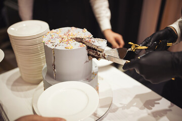 Birthday cake confection with colorful sprinkles. detail of multicolored and fun birthday cake. cutting cake with colouring  sugar. Piece of cake. Cut slice of birthday cake.