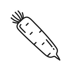 White radish isolated daikon vegetable root thin line icon. Vector fresh veggie with stem, chai tow ingredient. Horseradish rhizome plant