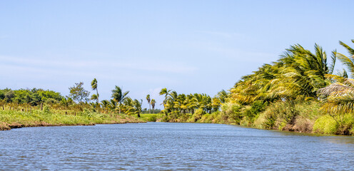 landscape of the river. Cocal Channel, Dorado, Puerto Rico