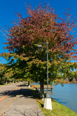A view of Sao Bernardo Lake in winter. Tourist destination in Sao Francisco de Paula, South of Brazil