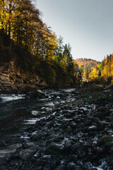 Mountain river among the autumn forest