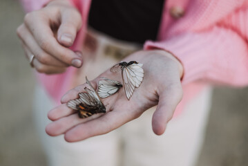 Butterflies in the hands