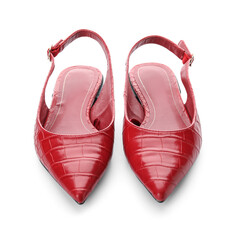 Stylish red shoes on white background
