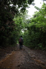 Obraz premium walking in the woods