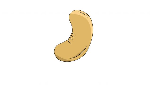 animated video of the cashew nut icon