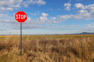 Stop sign. Traffic sign. STOP sign on pole near the road