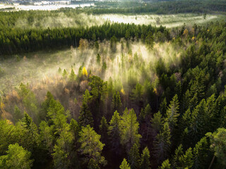 Scenic drone photo of very foggy sunrise over green forest, landscape in North Sweden, golden sun...