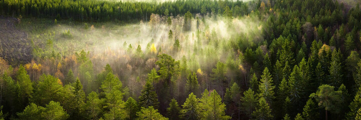 Scenic drone panorama photo of very foggy sunrise over green forest, landscape in North Sweden, golden sun light beams and shadows. Beautiful northern Sweden, Vasterbotten, Umea