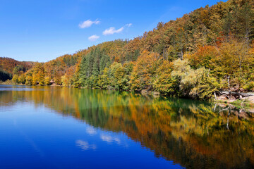 Fototapeta na wymiar Vida Dam Lake in in autumn colours, Transylvanian Alps, Romania, Europe