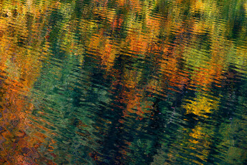 Abstract autumn water reflexion background. Water surface with reflections of autumn leaves....