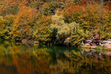 Vida Dam Lake in in autumn colours, Transylvanian Alps, Romania, Europe