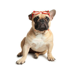 Cute pug dog with Christmas glasses isolated on white background