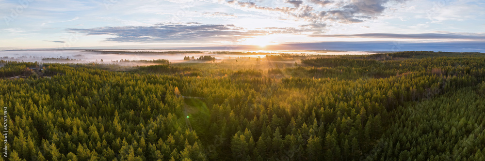 Wall mural scenic drone panorama photo of foggy sunrise over forest, landscape in north sweden, golden sun ligh