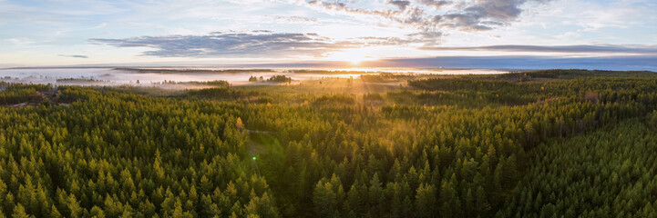 Scenic drone panorama photo of foggy sunrise over forest, landscape in North Sweden, golden sun light beams and shadows. Beautiful nature, Vasterbotten, northern Sweden, Umea, lens flare - obrazy, fototapety, plakaty