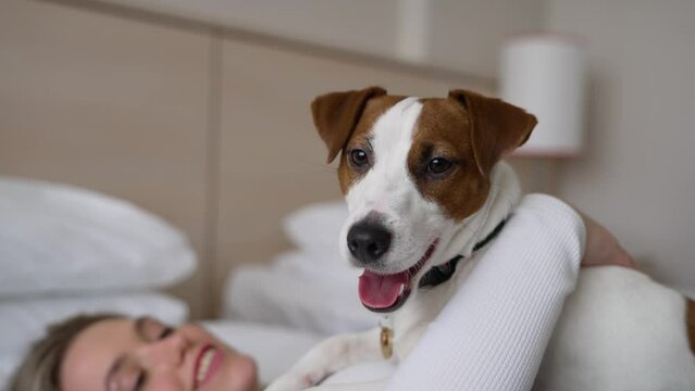 Dog friendly hotel. A girl and a dog sleep in a white bed at home. Happy mixed breed dog in a luxury bed. Pets are allowed at the hotel. Dog on the bed in a hotel room.