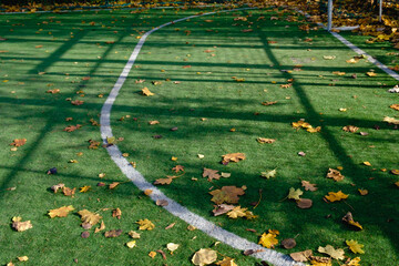 Autumn fallen leaves on the artificial turf of a football field