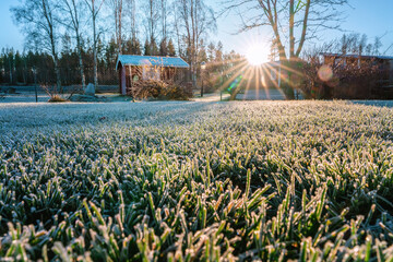 Beautiful low level photo on hoarfrost at green grass highlighted by low Sun at autumn day. Sun...