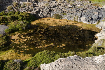 Birds in flight with the arrival of autumn