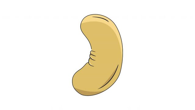 animated video forming a cashew nut icon