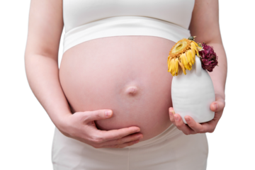 Pregnant woman with dry flowers, frozen pregnancy concept, isolated on a white background