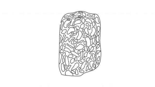 Animation forms a sketch of the tempe icon