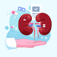 Medical persons checking human organ for surgery flat vector illustration. Nephrology medicine concept for banner website design or landing web page