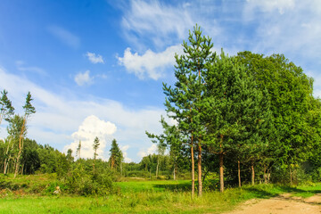 Countryside landscape with green fields and blue sky in Latvia.