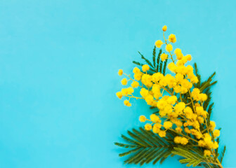 Fototapeta na wymiar Yellow mimosa flowers. Springtime floral background.