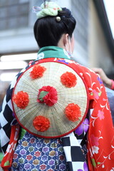 Japanese woman wearing Yukata Dress