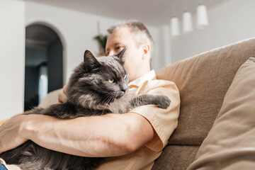 A man in a shirt sits on the sofa in the living room on a sunny day and holds his beloved gray...