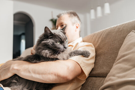 A man in a shirt sits on the sofa in the living room on a sunny day and holds his beloved gray fluffy cat in his arms. Relationships between humans and animals. Adored pets.