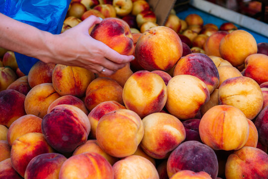 fresh peaches in the hand on the farmers market.