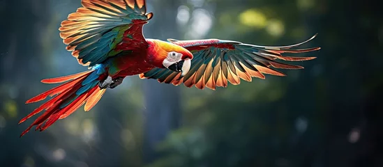 Fototapeten A stunning portrayal of a vibrant macaw parrot in flight captivates our attention This representation beautifully showcases the splendor of the avian world particularly the colorful and liv © 2rogan