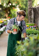 Portrait of handsome male florist selling potted flowers in his shop