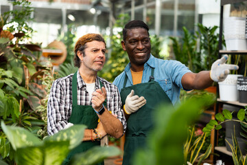 Two gardeners working in a flower greenhouse are discussing current work issues, pointing to something