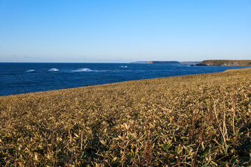 霧多布岬の秋の風景