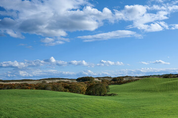 弟子屈の広大な牧草地2